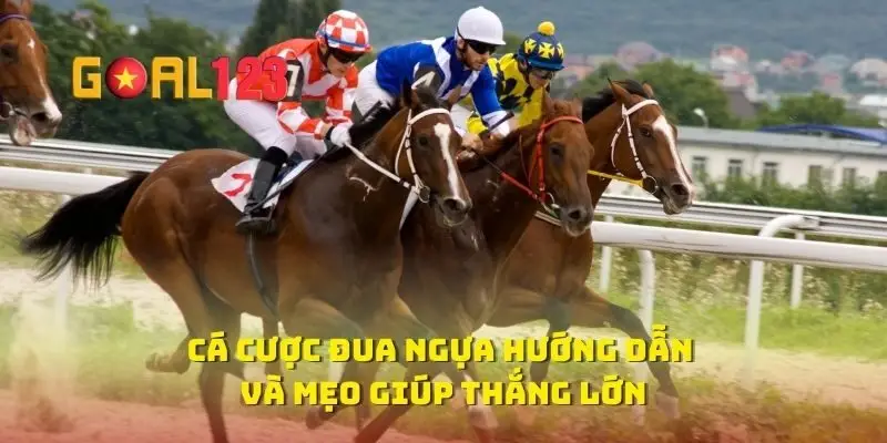 Cá Cược Đua Ngựa Hướng Dẫn Và Mẹo Giúp Thắng Lớn