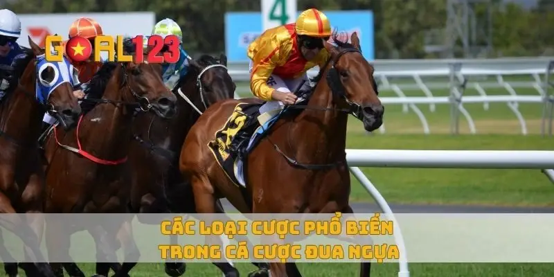 Các loại cược phổ biến trong cá cược đua ngựa