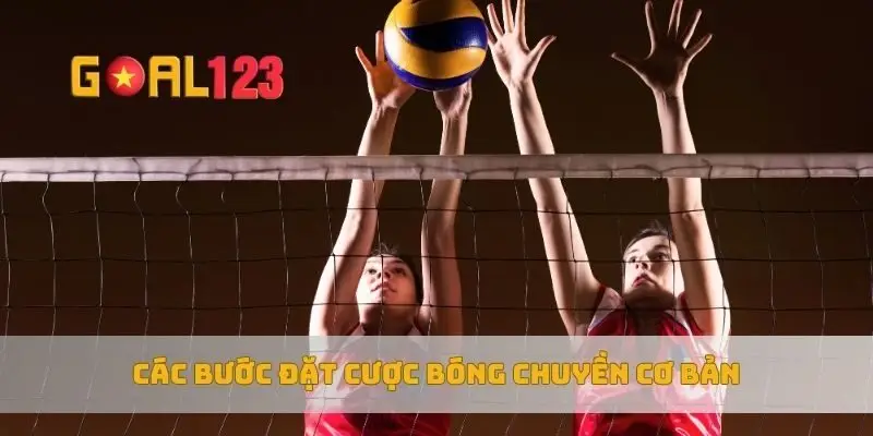Các bước đặt cược bóng chuyền cơ bản