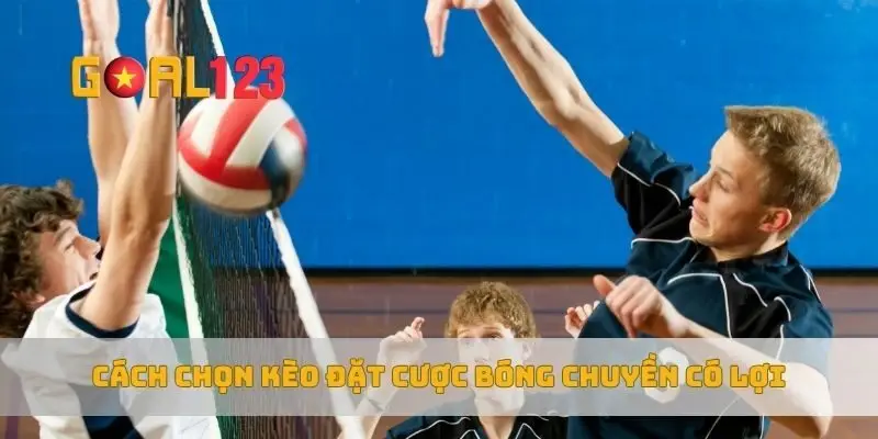 Cách chọn kèo đặt cược bóng chuyền có lợi
